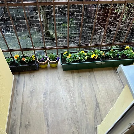 Jubilat - 110m2 Morawskiego *